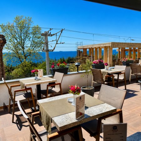 garden..sea_1188.jpg
